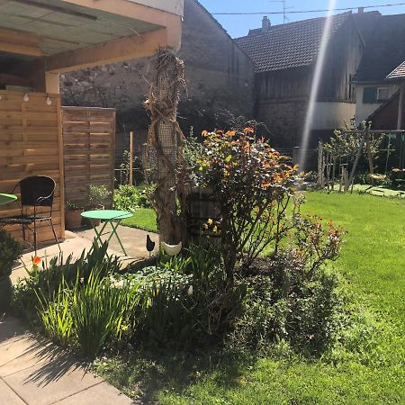 Gite Jasmin Herrlisheim-près-Colmar Exteriör bild