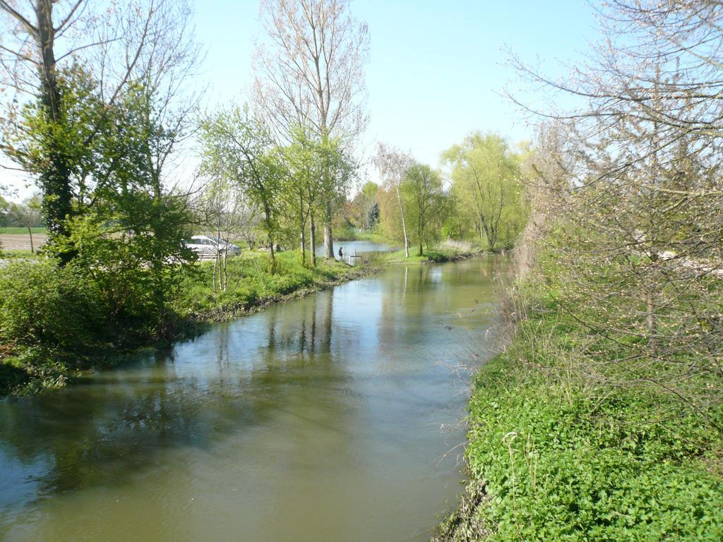 Gite Jasmin Herrlisheim-près-Colmar Exteriör bild