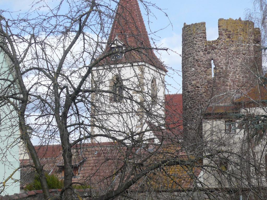 Gite Jasmin Herrlisheim-près-Colmar Exteriör bild