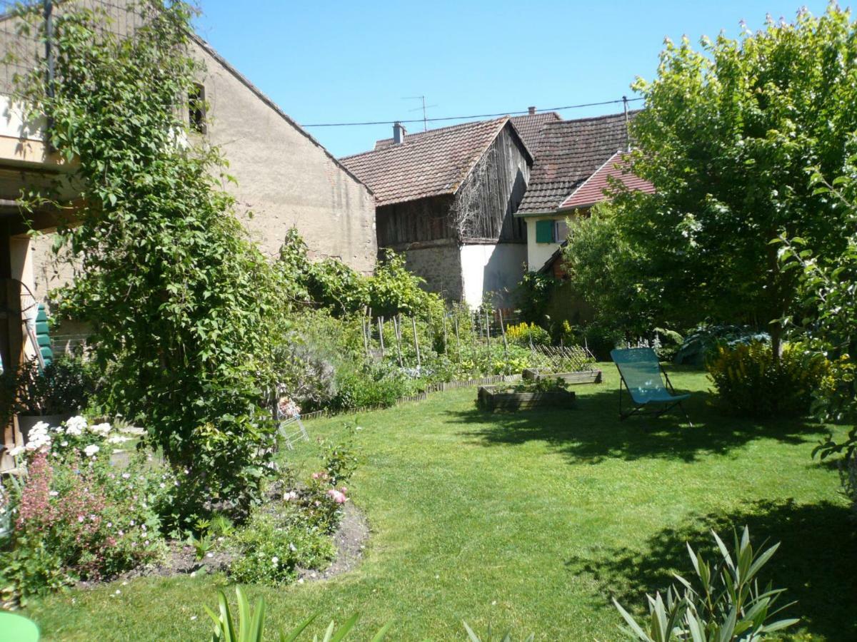 Gite Jasmin Herrlisheim-près-Colmar Exteriör bild